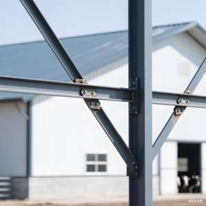 حظيرة الأبقار الفولاذية الجاهزة منخفضة التكلفة 20x50m 30x70m سهلة التجميع لبناء مزرعة 50- - Product Image 5