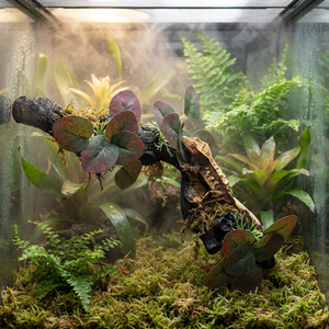 Rama de Escalada para Terrario de Reptiles con Ventosas, Planta de Simulación Realista para Dragón Barbudo, Gecko, Serpiente, Accesorios para Tanques - Product Image 2