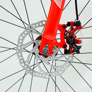 <span class=keywords><strong>Bicicleta</strong></span> de Montaña de 20 Pulgadas, Una Velocidad, para Deportes al Aire Libre, con Llanta de Acero y Aleación de Aluminio - Product Image 5