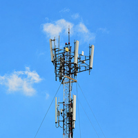 Mât monopode polygonal en acier galvanisé à chaud pour télécommunications radio/télévision FM, 40m, certifié CE, résistant au vent