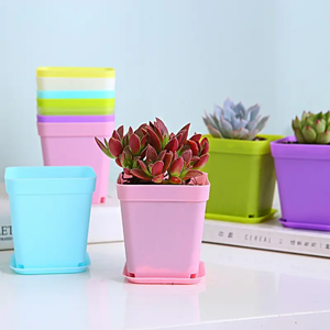 Vasi Quadrati in Plastica Spessa Colori Macaron <span class=keywords><strong>per</strong></span> Piante Grasse, Resistenti Contenitori <span class=keywords><strong>per</strong></span> Semina e Germinazione <span class=keywords><strong>per</strong></span> <span class=keywords><strong>Giardino</strong></span> Domestico - Vendita all'Ingrosso - Product Image 2