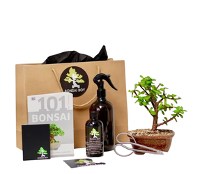 Kit de inicio de bonsái <span class=keywords><strong>Crassula</strong></span> de Jade Hunter único de 20cm, maceta de estilo rural, flor Artificial para el hogar, guardería, granja colgante - Product Image 1