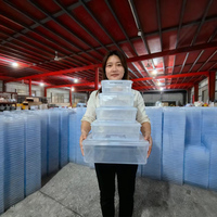 Herbruikbare transparante PP plastic koelkast organizer stapelbare koelkast opbergbox met deksel voor groente fruit voedsel opslag
