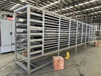 Ligne de production d'extrusion de riz fortifié à double vis avec moteur/moteur, acier inoxydable de qualité alimentaire, capacité de 100 à 1000 kg/h