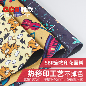 Impermeable para Mascotas, Chubasquero con Estampado de Dibujos Animados, Ropa de Verano para Perros, Accesorios, Abrigos, Chaquetas, Prendas Exteriores - Product Image 5