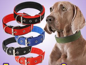 Hundetoilette mehrfarbig Nylon einstellbares Haustier-Hundehalsband Leinenset Sublimationsmuster Hundehalsband für Outdoor-Aktivitäten - Product Image 3