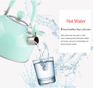 <span class=keywords><strong>Chaudière</strong></span> à café rapide à Induction 2021, prix d'usine, bouilloire à thé électrique intelligente en acier inoxydable - Product Image 4