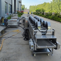 Automatische productielijn voor het wassen, schillen, snijden en drogen van aardappel-frites