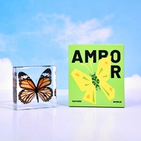 Véritable Papillon Séché en Résine Transparente Réaliste Junior Lycée Classe Enseignement Ressource Observer Artificielle Ambre Spécimens