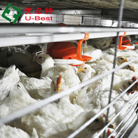 Cage à poulet manuel, pliable, piles, broyeur