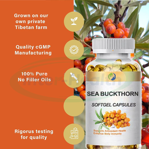 Ausreson OEM deniz topalak tohumu yağı yumuşak jel kapsüller 500mg 1000mg topalak deniz akdiken yağı <span class=keywords><strong>Softgel</strong></span> - Product Image 2