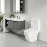 Ensemble WC monobloc moderne en céramique blanche avec siphon en S, fixation au sol, double chasse d'eau, design écologique
