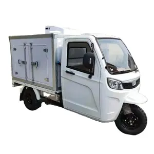 Refrigerated Tricycle with Cold Storage Delivery Box