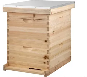 Boîte à abeilles en bois, apiculture 10 cadres, ruche Longstroth, fournisseur en gros d'usine de boîte de ruche d'abeille en bois