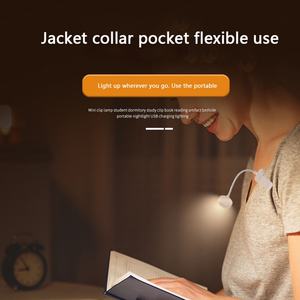 Lampes de lecture portables mini LED 2024 connectées à une batterie, style européen, pour étudiants - Product Image 2