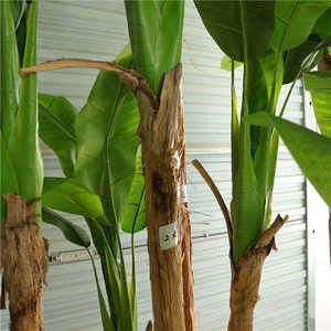 ต้นกล้วยประดิษฐ์พลาสติกในร่ม ราคาถูก สูง 180 ซม. 6 ฟุต ต้นไม้ประดับตกแต่งบ้าน ต้นกล้วยบอนไซ ต้นไม้ประดิษฐ์ - Product Image 6