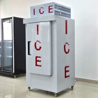 Congélateur commercial intérieur/extérieur pour sacs de glace, avec gaz écologique R290, capacité 30 pieds cubes, 80 sacs