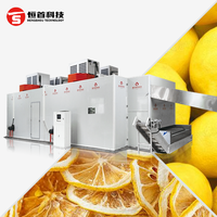 Citroendrooglijn, fruitdrooglijn, citroen-droogmachine met gaasband, citroen-droogproductielijn