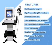 Machine de physiothérapie au laser de classe 4 LLLT 1064nm 980nm de bas niveau non invasive médicale pour utilisation en clinique vétérinaire