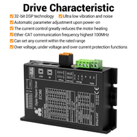 Contrôleur de moteur pas à pas EtherCAT EC86 24-80VDC 18-60VAC 6.5A avec modes CSP/PV/PP/HM pour l'automatisation industrielle CNC, Fabricant