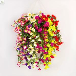 Распродажа, искусственный шелк, подвесные петунии, цветы для Утренней славы, для отеля, потолка, свадьбы, Рождества, школы, китайского Нового года - Product Image 3