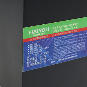 双轮电动车用48V30AH绿色无污染锂电池电动自行车固态动力电池 - Product Image 5