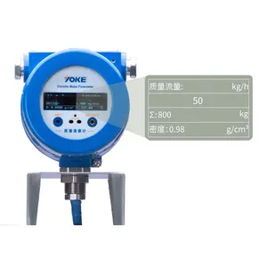 Hoge Viscositeit Lpg Flowmeter DN3-200 4-20mA Uitgang Diesel Brandstof Coriolis Mass Flow Meter