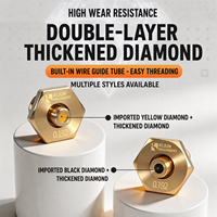 WEDM Double diamant à vitesse moyenne pour découpe de fil, diamant noir jaune rubis 20x22mm 0.192, pièce de rechange pour découpe conique avec support de buse Xuehao