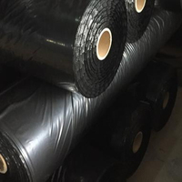 Aangepaste Breedte Pe Met Uv Zwarte Mulch Film Rol Voor Landbouw Tuin Ldpe Mulching Plastic Folie Vellen