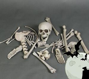 Nicro forniture <span class=keywords><strong>di</strong></span> <span class=keywords><strong>Halloween</strong></span> scheletro pellicola <span class=keywords><strong>di</strong></span> simulazione <span class=keywords><strong>di</strong></span> plastica oggetti <span class=keywords><strong>di</strong></span> scena <span class=keywords><strong>Horror</strong></span> alla rinfusa 28 pz realistico teschio a grandezza naturale - Product Image 3