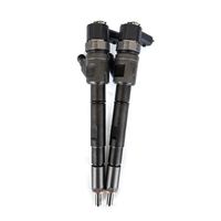 0445110647/ 0 445 110 647 Inyector de Combustible Common Rail de Alto Rendimiento, Piezas de Repuesto Probadas de Calidad Estable
