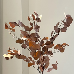 Lovebay - <span class=keywords><strong>Hojas</strong></span> de Manzano Preservadas, Follaje Artificial, Ramo DIY, <span class=keywords><strong>Hojas</strong></span> de Eucalipto Preservadas para Decoración del Hogar, Arreglos Florales - Product Image 3