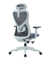 Chaise de bureau pivotante de luxe, ergonomie moderne, cadre gris, chaise de direction en maille, appui-tête réglable 2D, chaise pivotante