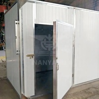 Tunnel Droogoven Industriële Droger Groente Fruit Verwerkingsapparatuur Aardbei Mango Citroen Vijg Abrikoos
