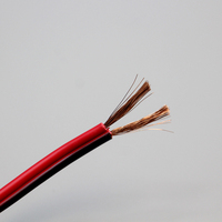 LED-Lautsprecher RVB Rot und Schwarz CCA Doppelkern-Weichkabel mit Mikrofon Lautsprecher-Stromkabel 2*2,0mm