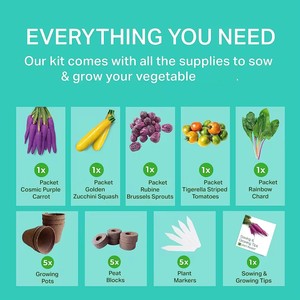 Kit de jardin potager d'intérieur de style ferme extraordinaire de 5 pièces, pots de fleurs écologiques pour pépinière, maison, chambre, utilisation en extérieur - Product Image 3