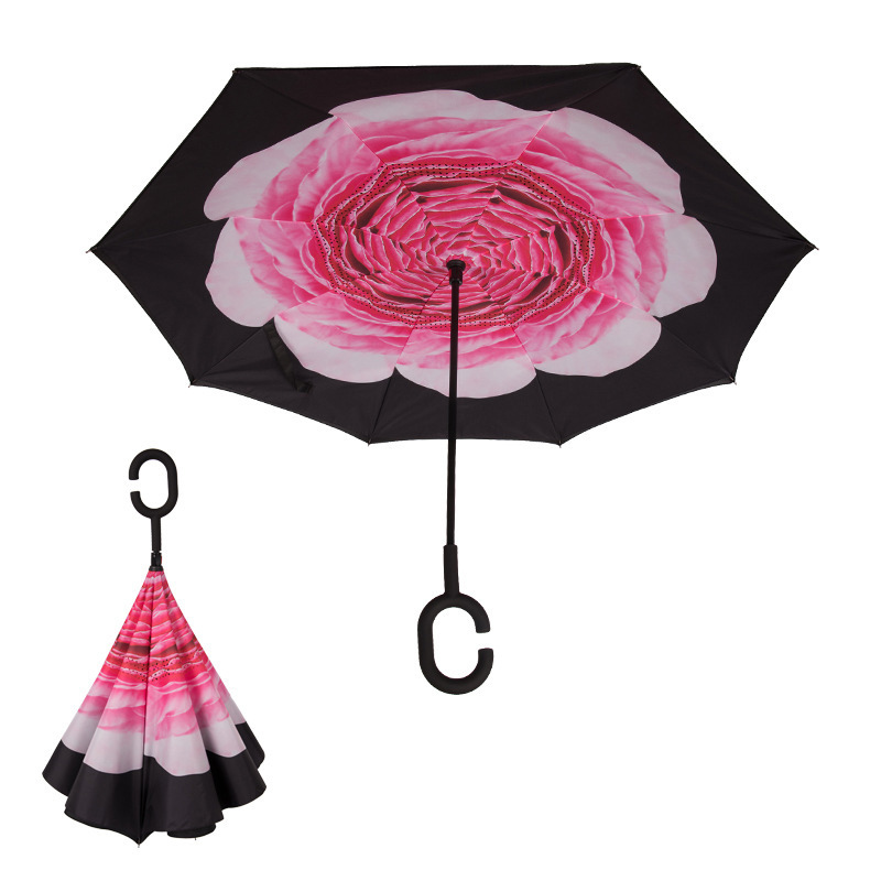 pivoine rose