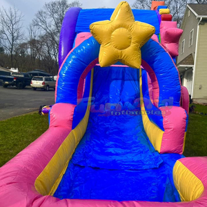 Castillo inflable comercial para niños con tobogán y plataforma de saltos, tipo noria, para uso en seco o mojado. - Product Image 6