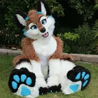 Loup Husky Chien Fursuit pour adultes Mascotte Personnalisée Cosplay Halloween Déguisement avec Longue Fourrure Peluche Unisexe