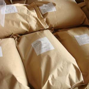 Glutamato Monosódico Orgánico a Granel de Grado Alimenticio E621 Halal Extra Fino 50 mesh - Product Image 1