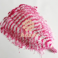 Plumes de zèbre et d'autruche bicolores teintes de 60-65 cm en gros pour coiffes de carnaval, sacs à dos et décorations de spectacles sur scène