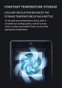 NUELEAD NE-377 <span class=keywords><strong>Cave</strong></span> <span class=keywords><strong>à</strong></span> <span class=keywords><strong>vin</strong></span> moderne en verre de haute qualité pour hôtel commercial, installation de <span class=keywords><strong>cave</strong></span> <span class=keywords><strong>à</strong></span> bière et <span class=keywords><strong>à</strong></span> <span class=keywords><strong>vin</strong></span> rouge pour amateurs de <span class=keywords><strong>vin</strong></span> - Product Image 6