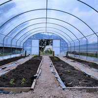 Serre agricole à bas prix Maison en plastique Polytunnel Pe séchoir solaire à travée unique à vendre