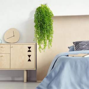 ดอกอะมารันธัส คาดาวัตตัส ประดิษฐ์จากโฟม รูปทรงเส้นไหม ขายดี ใช้ตกแต่งดอกไม้ - Product Image 4