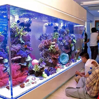 Aquarium 5 en 1 en verre incurvé, mini réservoir de poissons, usine économique