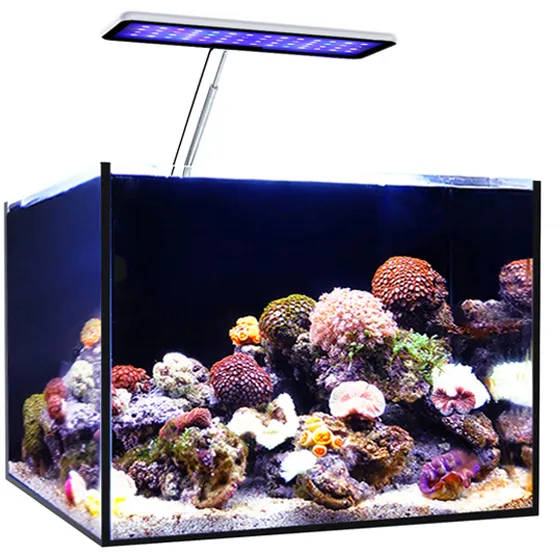 MicMol 30W Voll spektrum LED-Aquarien licht mit hohem Lumen Intelligente Steuerung für Marine-und Pflanz tanks