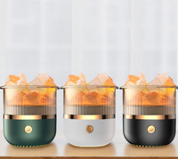 Mini humidificateur d'air USB diffuseur d'huile essentielle de pierre de sel de l'Himalaya humidificateur d'aromathérapie