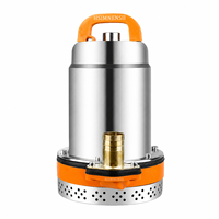 Pompe à eau submersible portable 12V 24V 48V DC, mini pompe centrifuge pour le transfert d'eau domestique, l'irrigation agricole