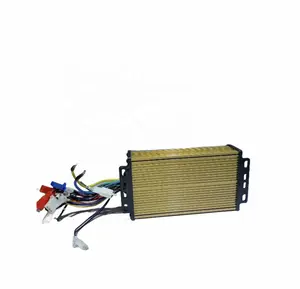 Special Brushless Motor Controller DC Tricycle Controller Electric Motorcycle Controller