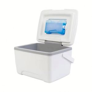 Insulated Portable Modern PP <b>Cooler</b> <b>Box</b> for Camping High Quality Recyclable Water Resistant 8L Capacity Wine & Food - Product Image 1